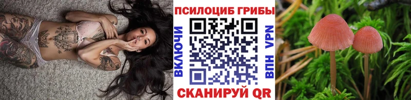 Галлюциногенные грибы Psilocybine cubensis  где продают   Ликино-Дулёво 